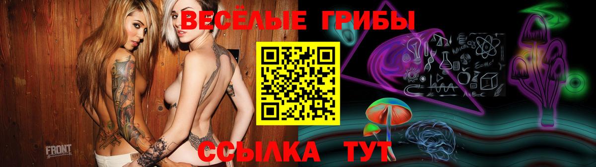 Псилоцибиновые грибы Cubensis Тольятти